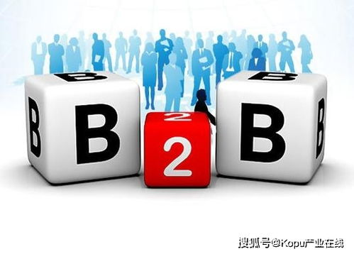 B2B平臺加速發(fā)展 從交易型平臺向供應鏈服務轉型成行業(yè)共識